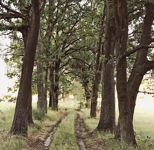 Auszeit Auf Dem Land Im Forsthaus Hohe Heide Сasa de vacaciones