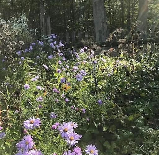 Auszeit Auf Dem Land Im Forsthaus Hohe Heide * Kattenstiegs-Muhle