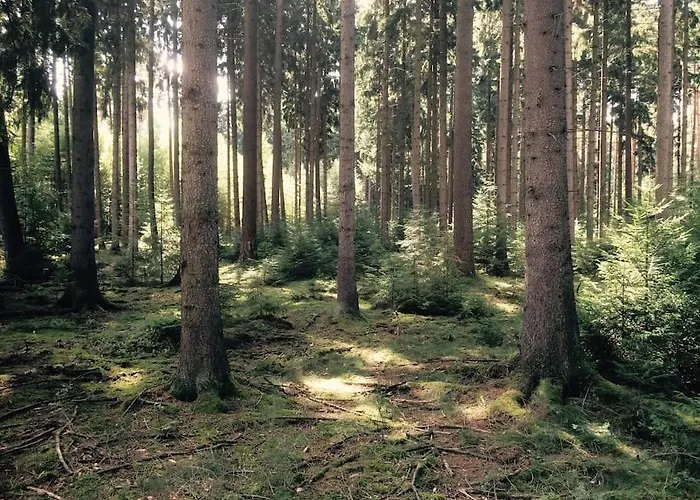 Auszeit Auf Dem Land Im Forsthaus Hohe Heide Сasa de vacaciones Kattenstiegs-Muhle