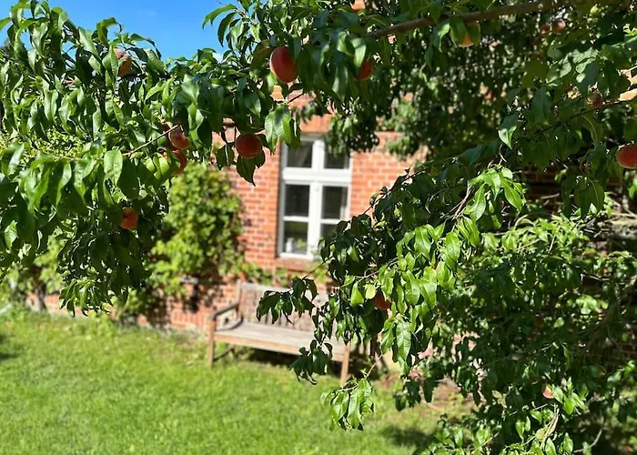 Auszeit Auf Dem Land Im Forsthaus Hohe Heide * Kattenstiegs-Muhle