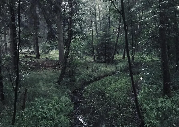 Auszeit Auf Dem Land Im Forsthaus Hohe Heide